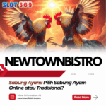 Sabung Ayam Pilih Sabung Ayam Online atau Tradisional
