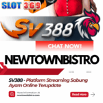 SV388 - Platform Streaming Sabung Ayam Online Terupdate